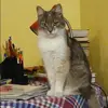 Отзыв от Ираида Фомина